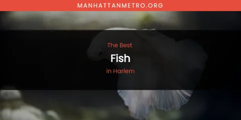 The Top-Rated Fish in Harlem