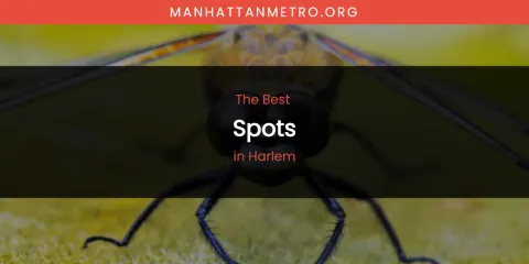 The Absolute Best Spots in Harlem